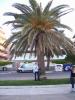 100 1945
